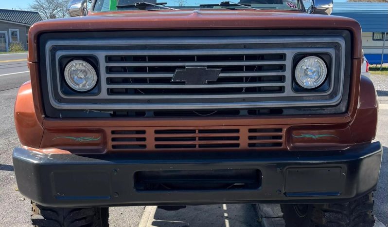 1981 CHEVROLET 6500 full